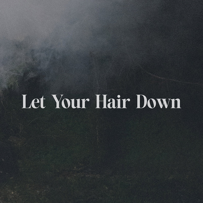 Let Your Hair Down (Single) by Black Books.